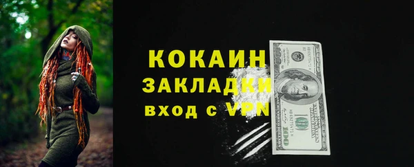 ешки Горняк