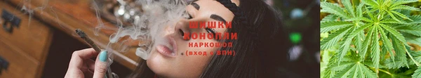 Альфа ПВП Горно-Алтайск