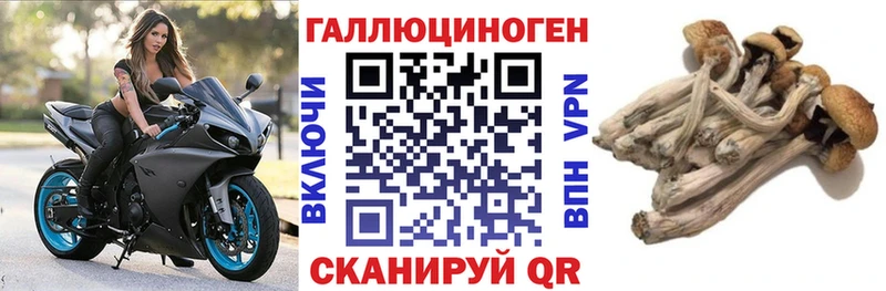 Купить  Моршанск  Псилоцибиновые грибы ЛСД 